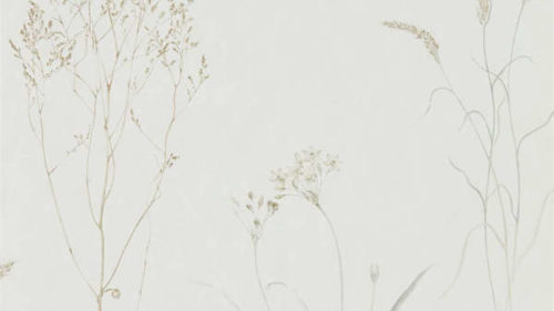 Farne Grasses 216487